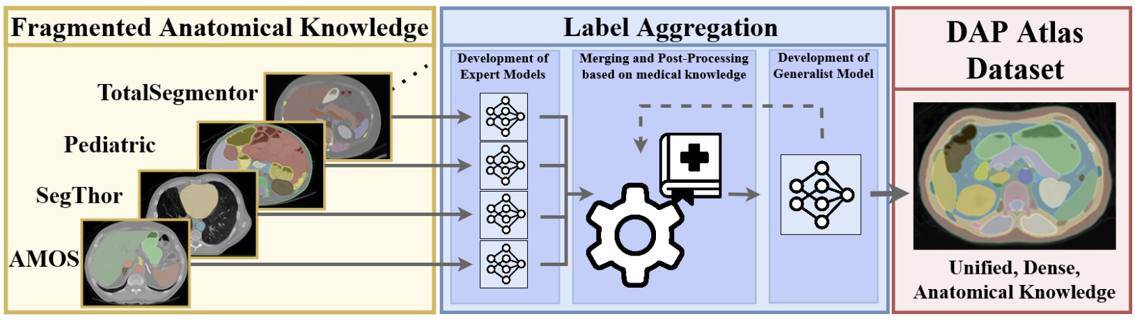 The DAP Atlas pipeline: fragmented anatomical knowledge from multiple public datasets is aggregated, refined with anatomy rules, and distilled into a single whole-body segmentation model covering 142 structures.